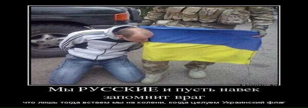 banner image of Alexey Alexa