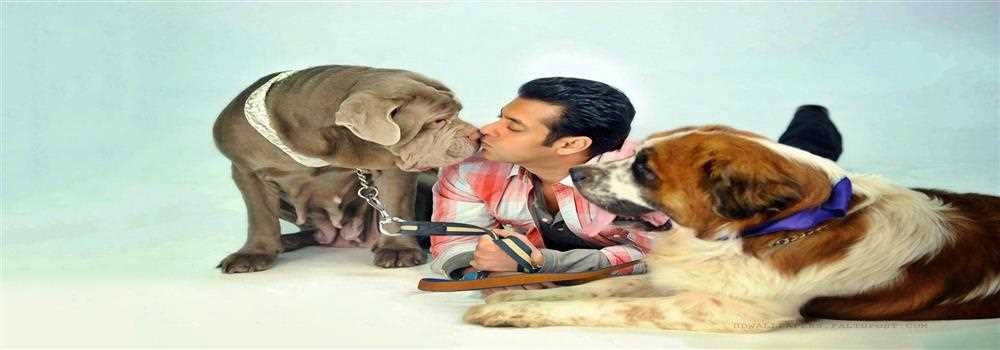 banner image of kk sharma