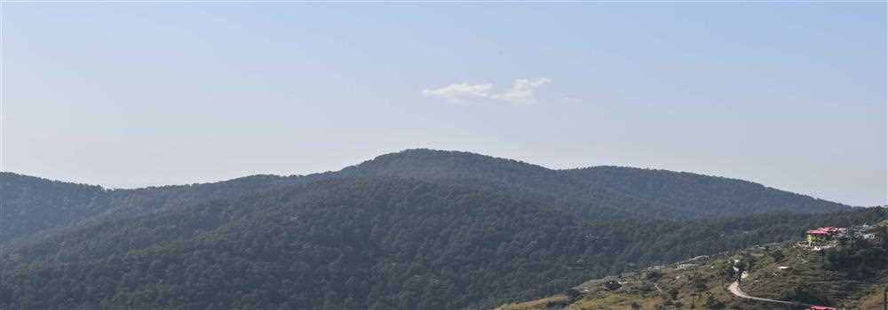 banner image of Charles Wyatt