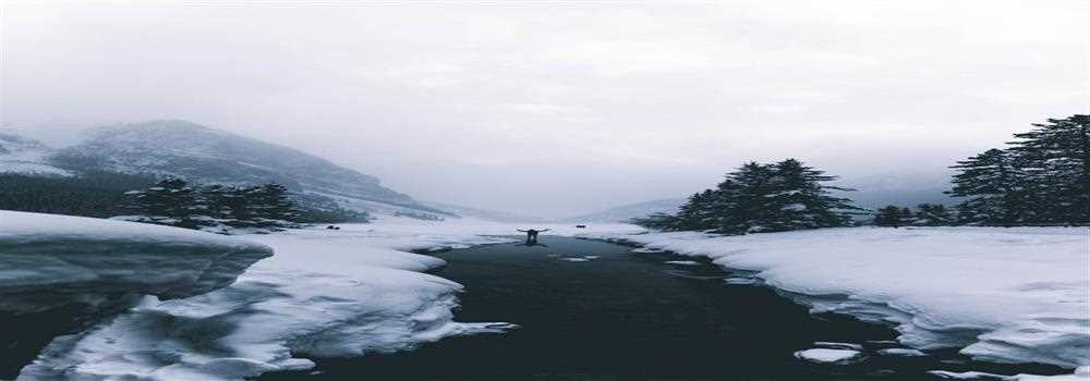 banner image of Abbas Ali