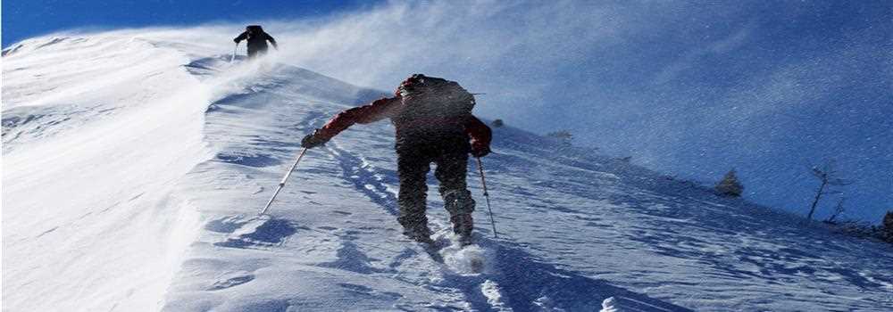 banner image of Reccy Travel