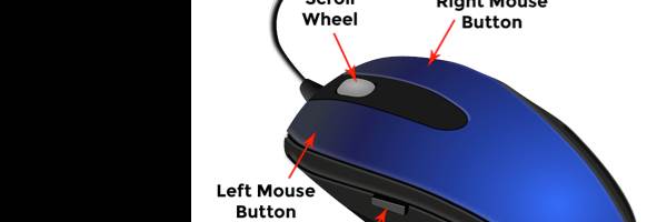 banner image of tom bell