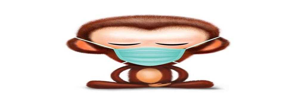 banner image of monkeys marketing