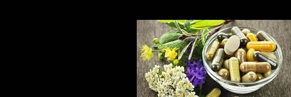 banner image of Kangra Herb Kangra Herb