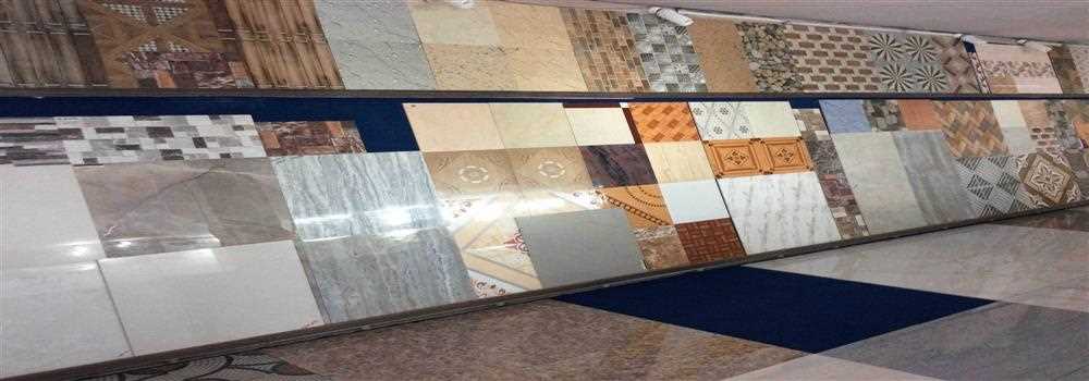 banner image of Sasha Lynch