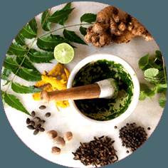banner image of Torque Ayurveda