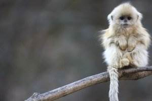 banner image of juicer now