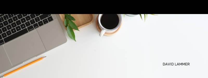 banner image of David Lammer