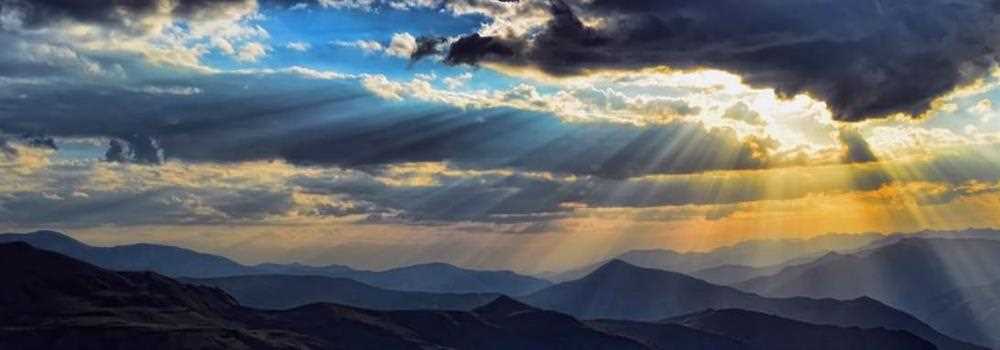 banner image of jaden devid