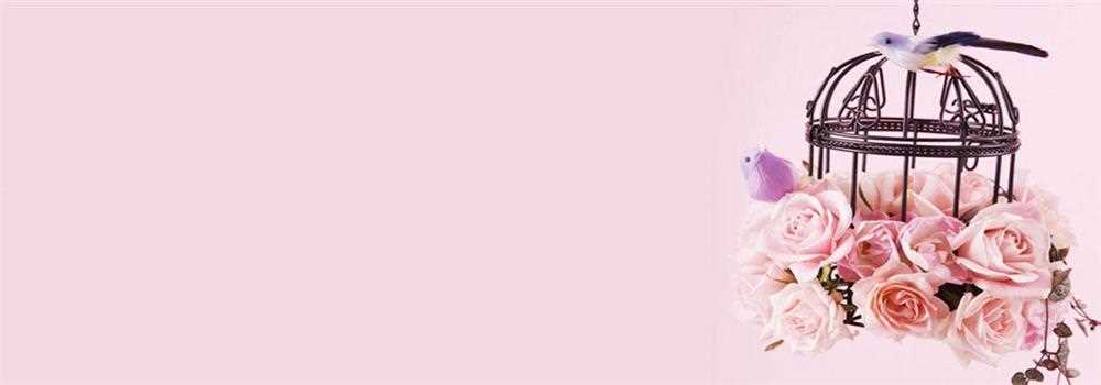 banner image of IVY Rose