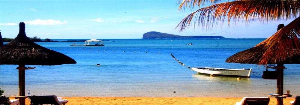 banner image of Alisha Chinoy