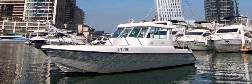 banner image of alex gd