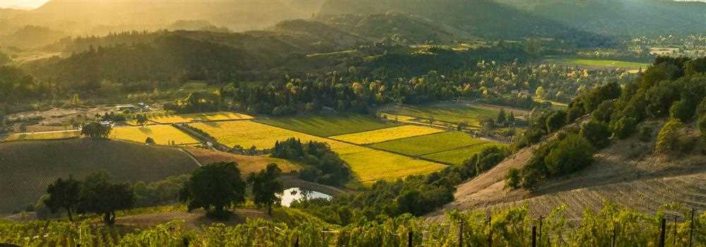 banner image of St Helena Real Estate, Inc 