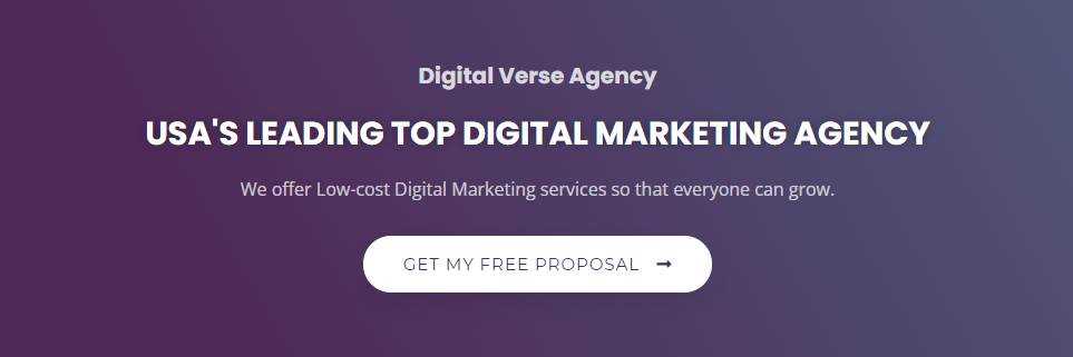 banner image of Digital Verse Agency Digital Verse Agency