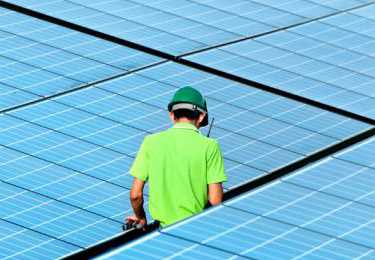 banner image of Surya Rayforce Surya Rayforce