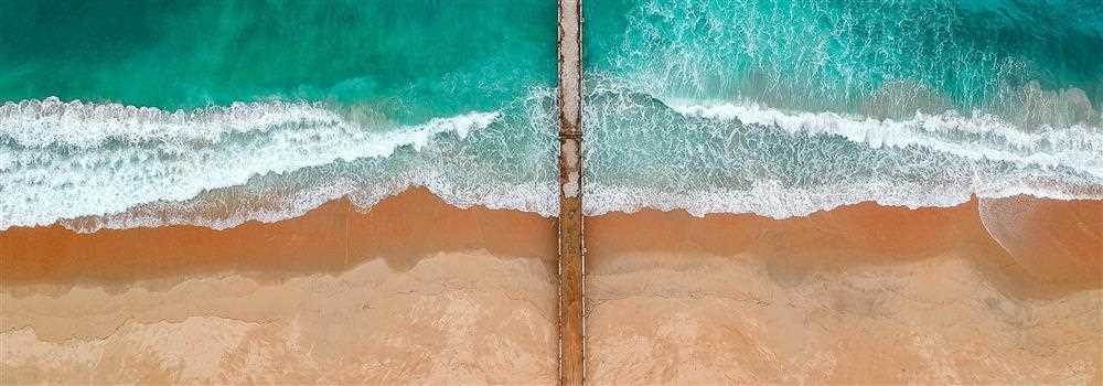 banner image of Michelle Thomas