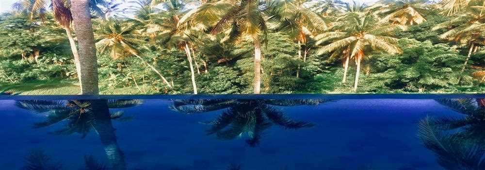 banner image of Patrick Del Rosario