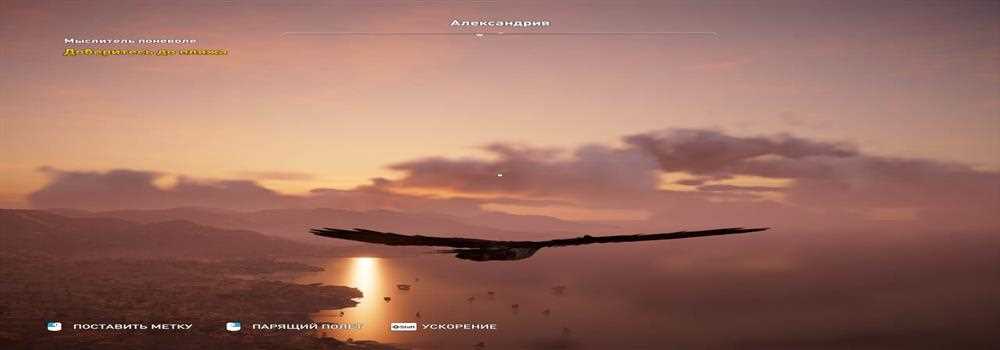 banner image of Andrew S.