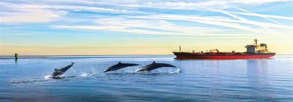 banner image of Yukti Sharma