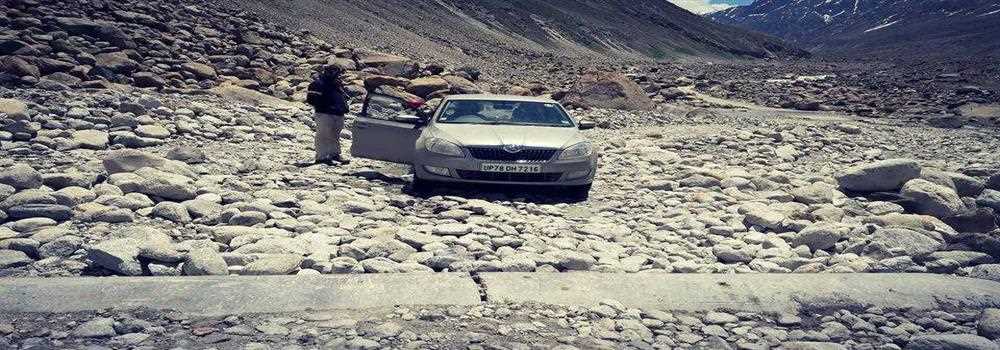 banner image of Cushy Policy