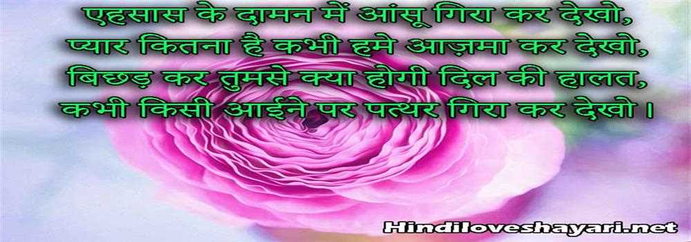 banner image of Dellinspiron52 singh