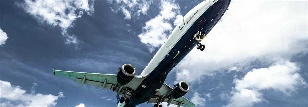 banner image of Jetblueflyhighs Alan walker