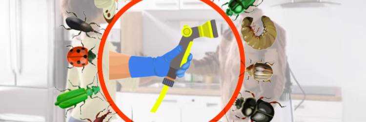 banner image of Pest Control Karachi Fr@034221000