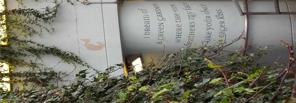 banner image of Veselina Dzhingarova