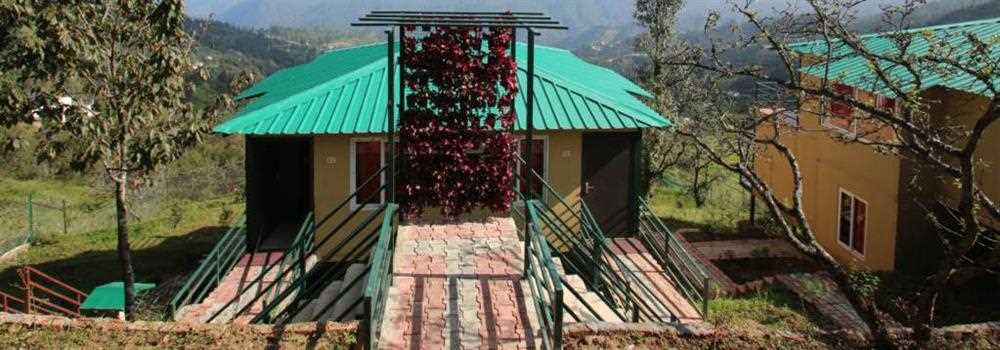 banner image of Nest and Hives