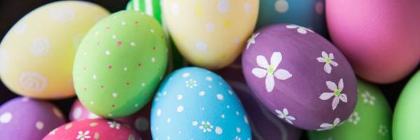 banner image of Nina Budiko