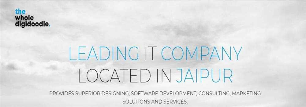 banner image of The Whole Digidoodle 