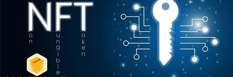 banner image of ERC-721 Token nft Token NFT  Token Development