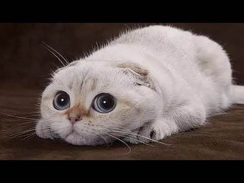 banner image of Oliver Rodri