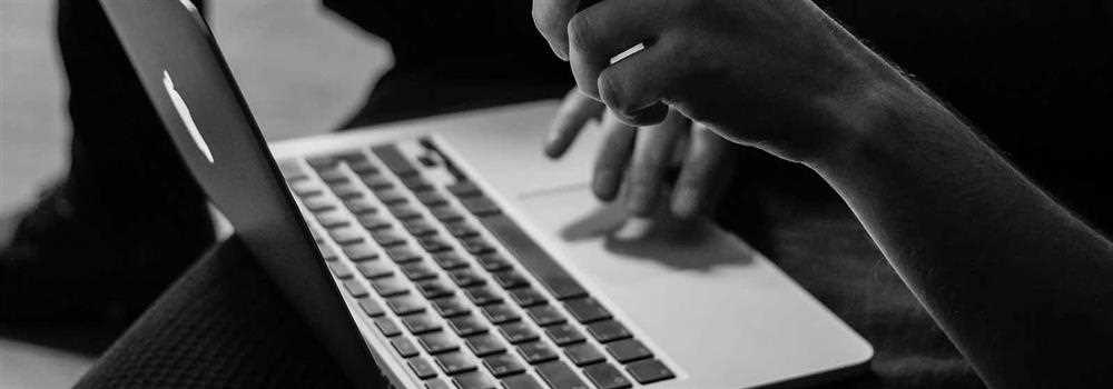 banner image of foster jessica