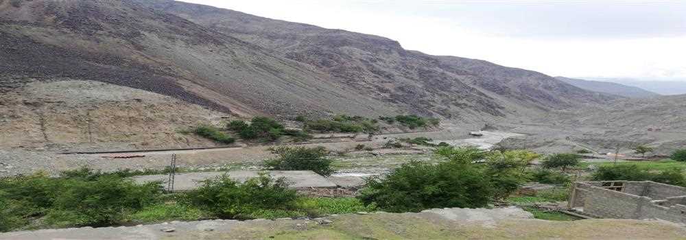 banner image of Michael Mills