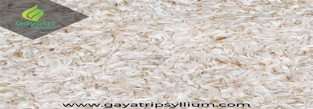 banner image of Gayatri Psyllium Industries Gayatri Psyllium