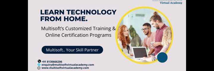 banner image of multisoftvirtualacademy Anshu