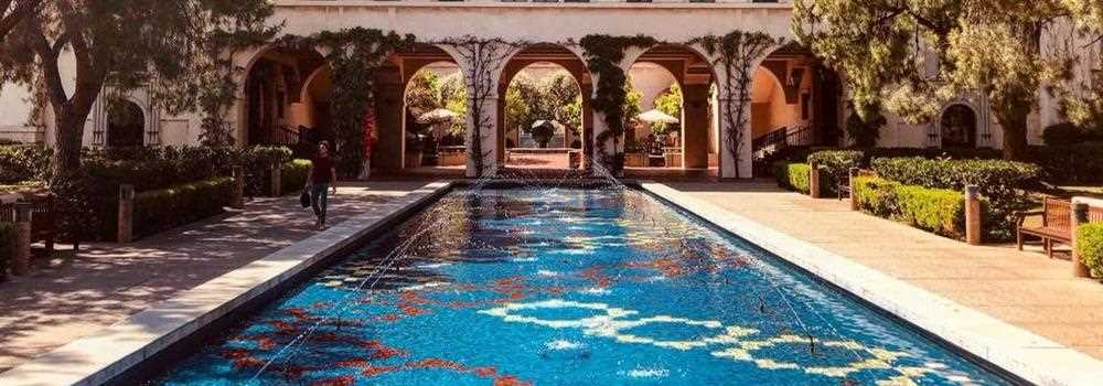 banner image of Tara Cruz