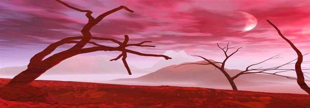 banner image of Isaac Corey