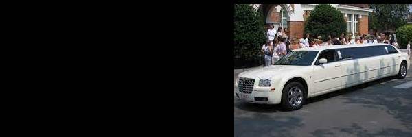 banner image of ybelimousineService ybelimousineService