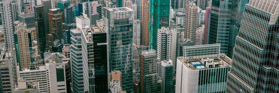 banner image of Rose Pelletier