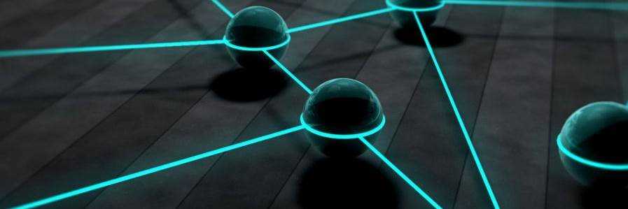 banner image of Caiden david