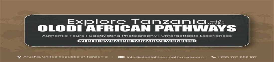 Olodi African Pathways