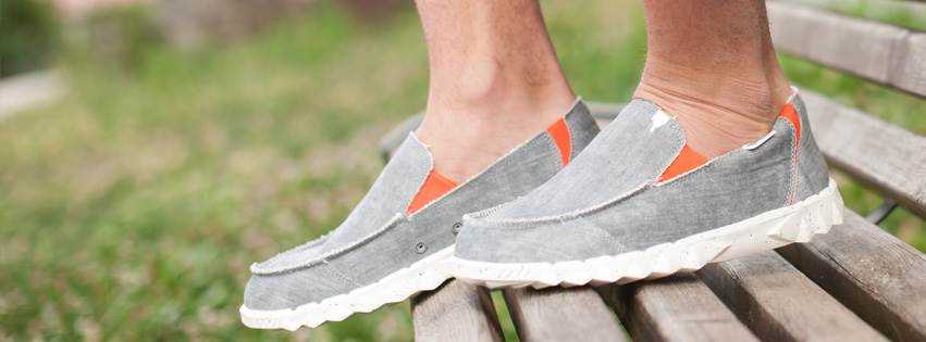 banner image of Drooth Ltd 