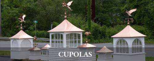 banner image of Noel Steele