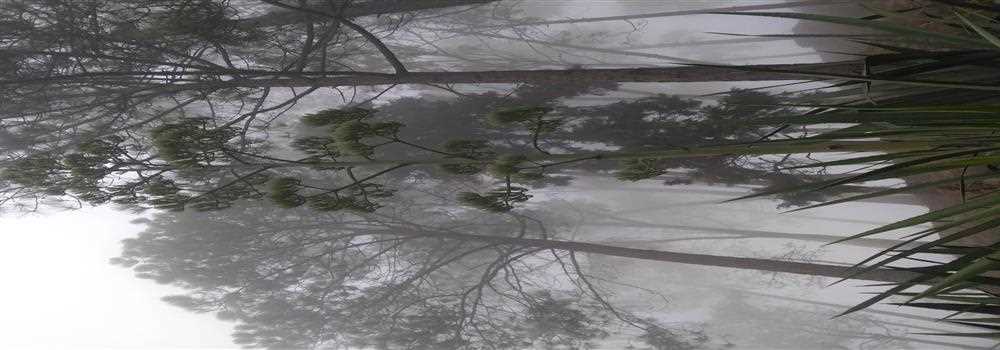 banner image of Radhika Chawla