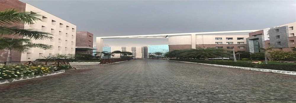 banner image of Webmaster Department