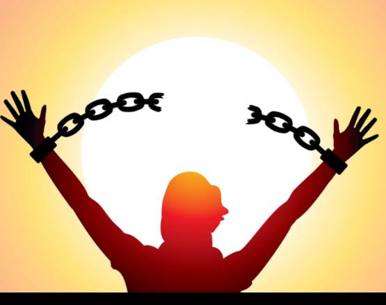 banner image of Ryan Sandler