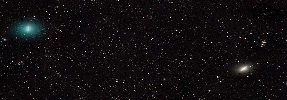 banner image of Harry Markushev