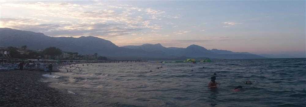 banner image of Amelia Atkins